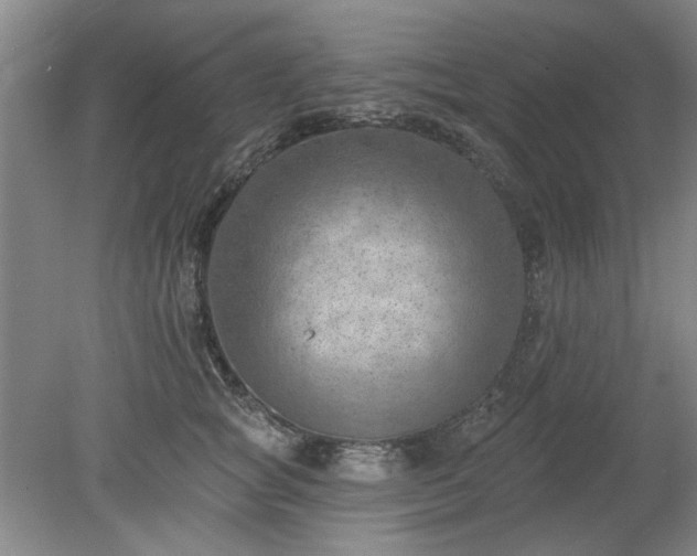 X0000078230757200611101009