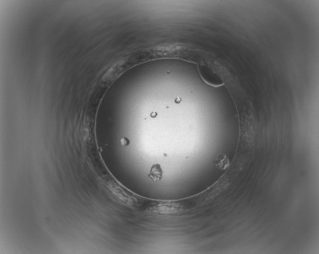 X0000078230758200611101009