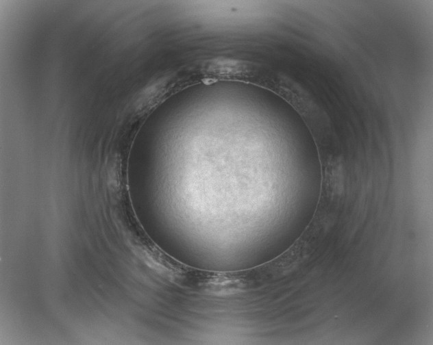 X0000078230760200611101009