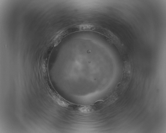 X0000078230761200611101009