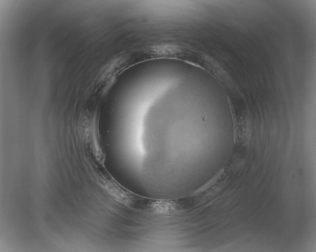 X0000078230762200611101009