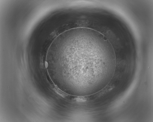 X0000078230765200611101009