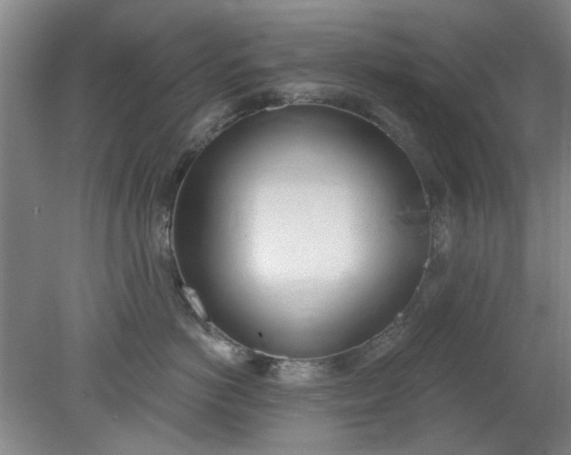 X0000078230766200611101009