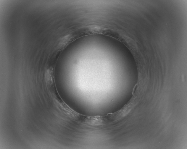 X0000078230768200611101009