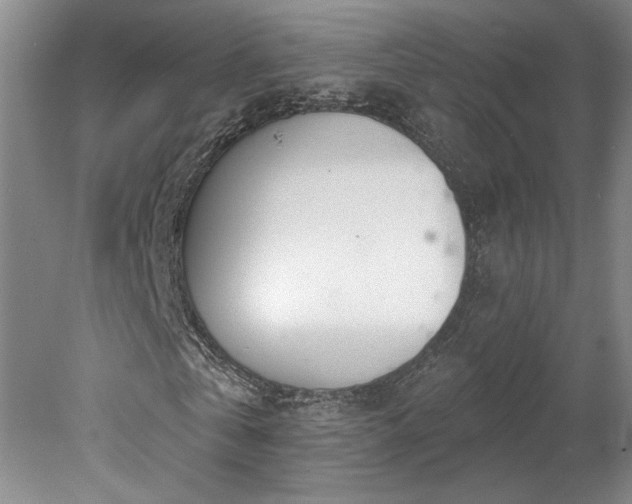 X0000078230769200611101008