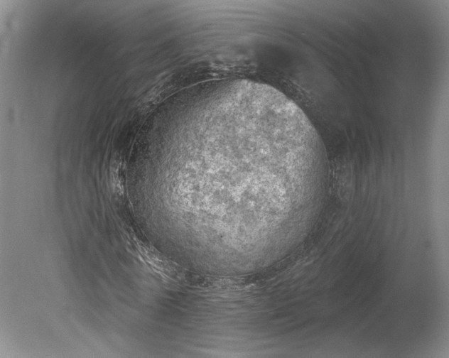 X0000078230770200611101008