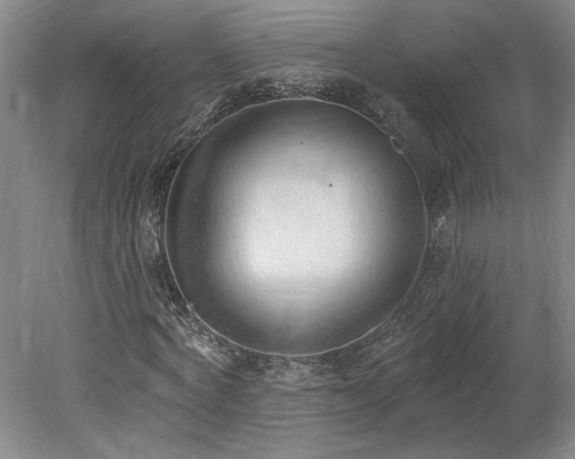 X0000078230772200611101008