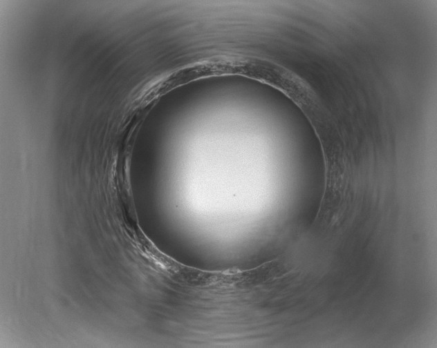 X0000078230773200611101008