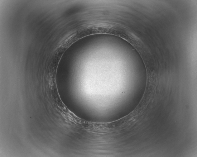 X0000078230774200611101008