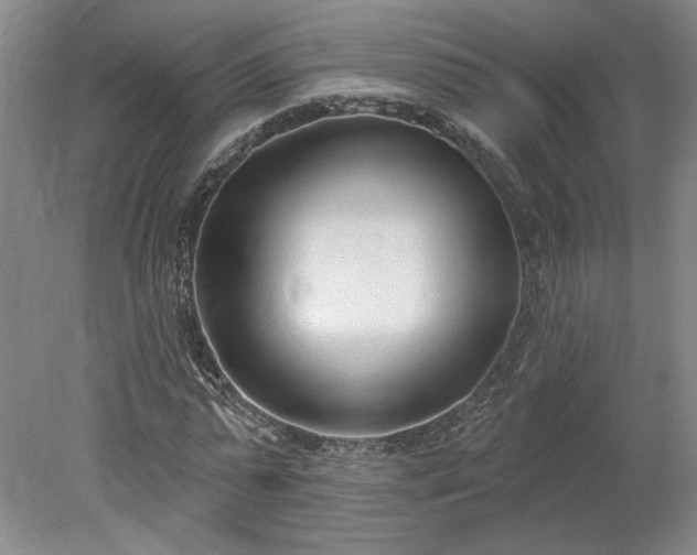 X0000078230775200611101008