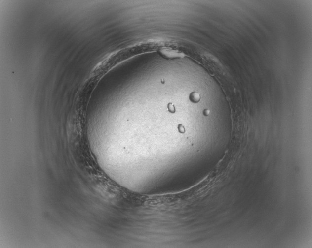 X0000078230776200611101008