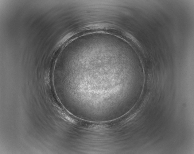 X0000078230778200611101008