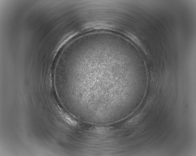 X0000078230782200611101008