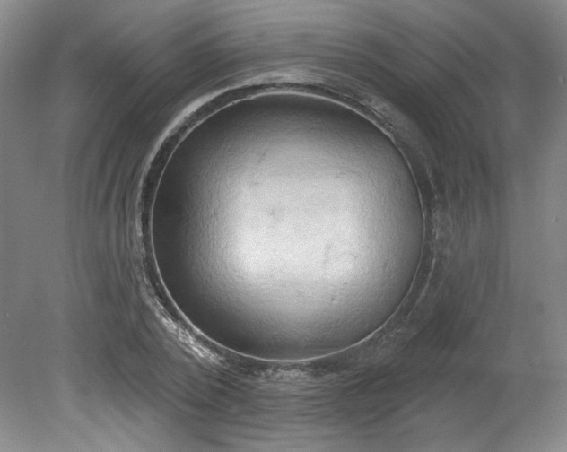 X0000078230784200611101008