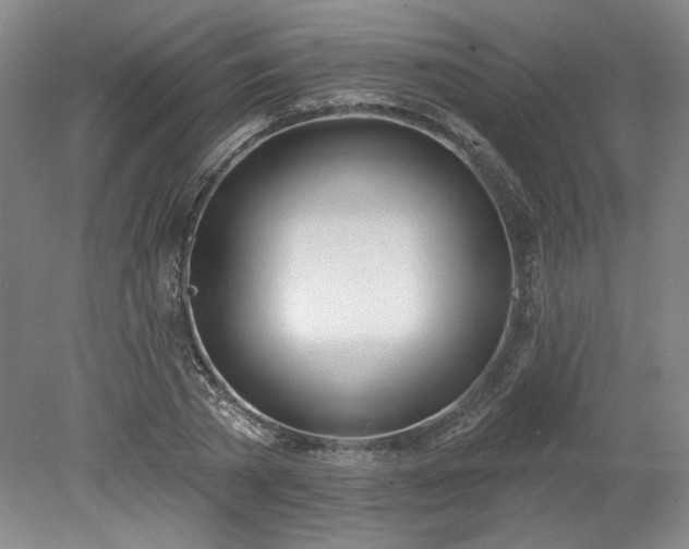 X0000078230785200611101008