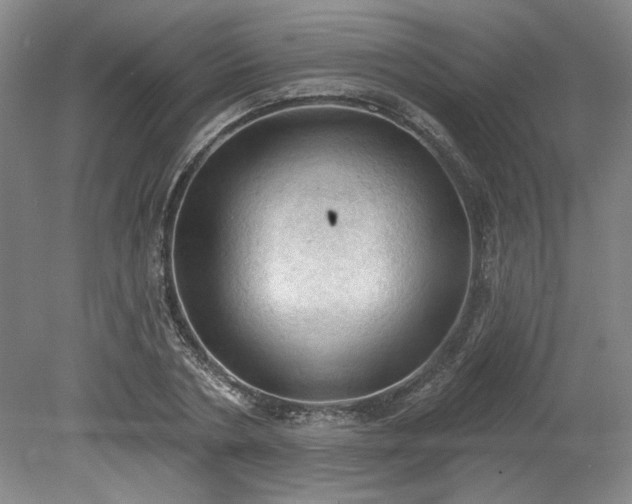 X0000078230786200611101008