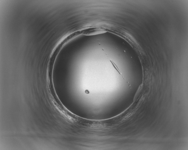 X0000078230788200611101008