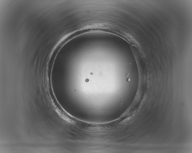 X0000078230792200611101008