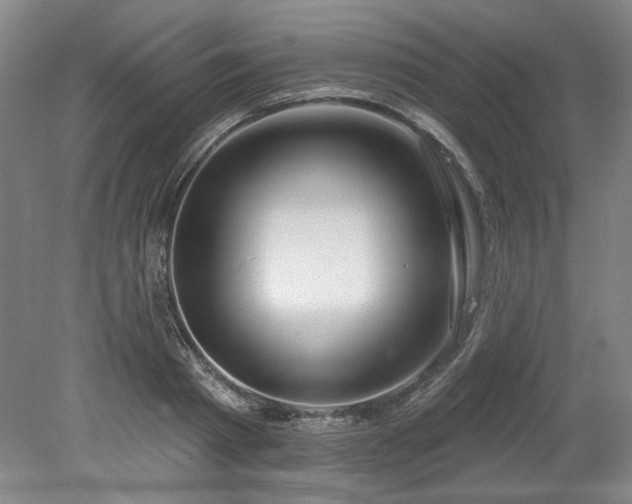 X0000078230793200611101008