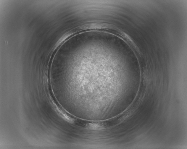 X0000078230794200611101008