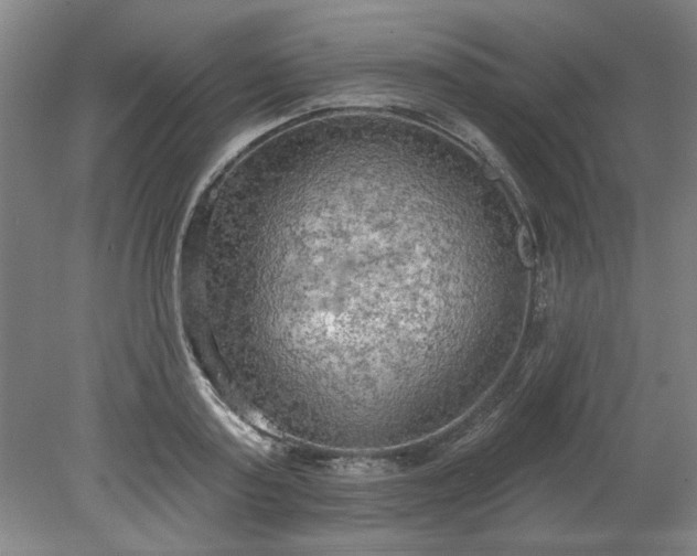 X0000078230795200611101008