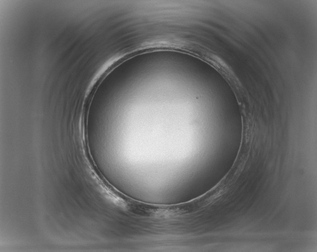 X0000078230796200611101008