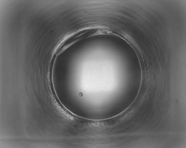 X0000078230797200611101008