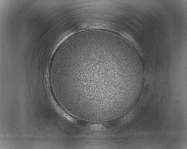 X0000078230798200611101008