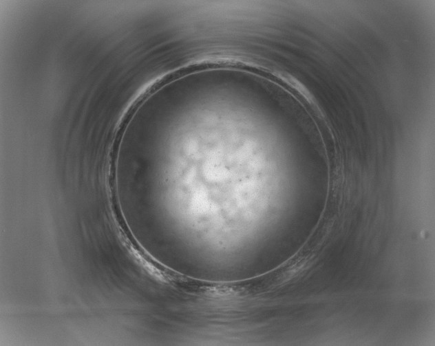 X0000078230799200611101008