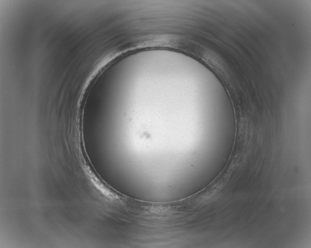 X0000078230800200611101008