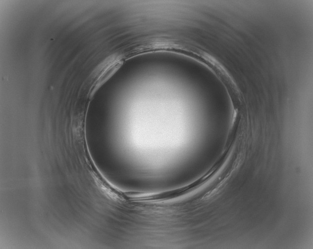 X0000078230801200611101008