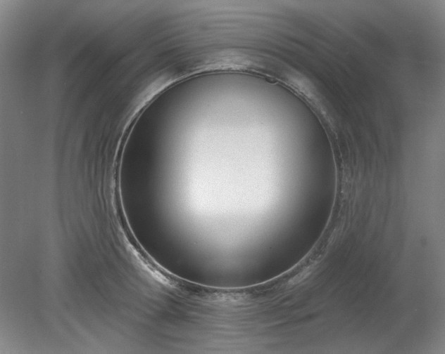 X0000078230802200611101008