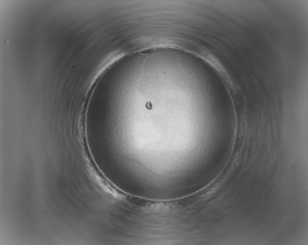 X0000078230806200611101008