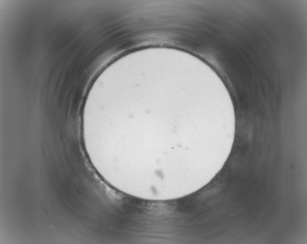 X0000078230807200611101008