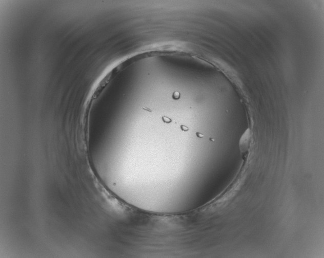 X0000078230816200611101008