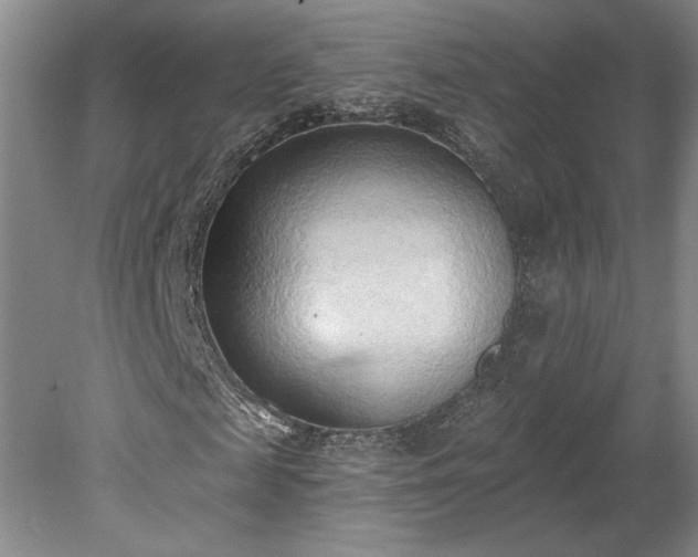 X0000078230817200611101007