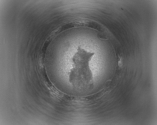 X0000078230819200611101007