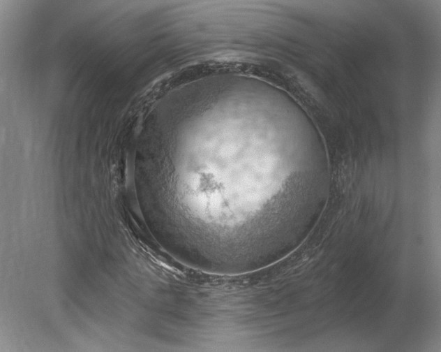 X0000078230821200611101007