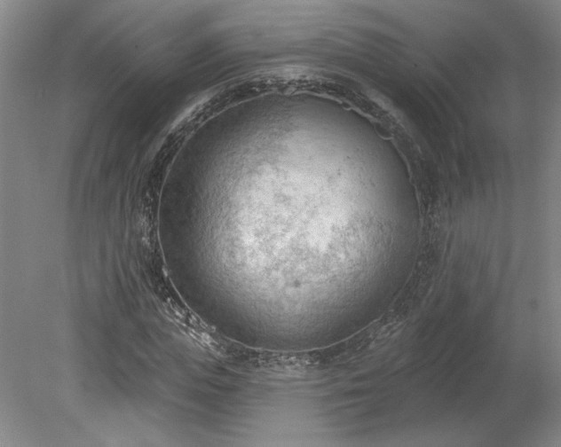 X0000078230823200611101007