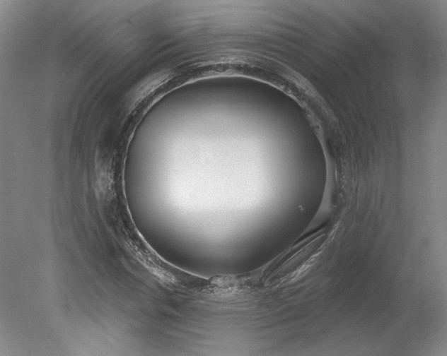 X0000078230826200611101007