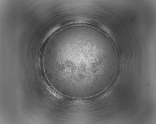 X0000078230827200611101007