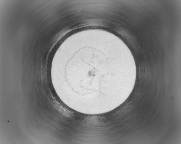 X0000078230828200611101007