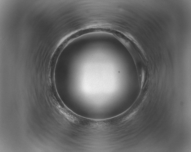 X0000078230830200611101007