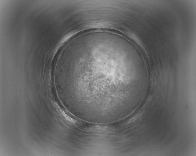 X0000078230831200611101007