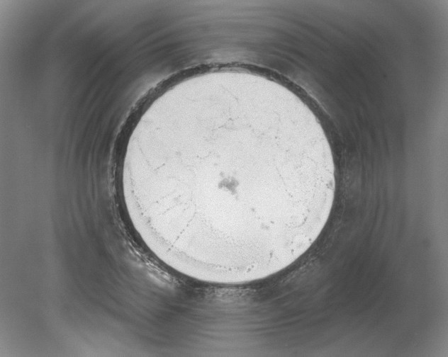 X0000078230832200611101007