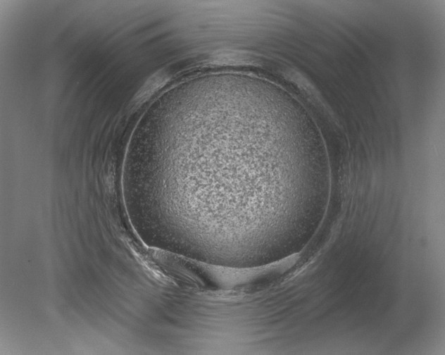 X0000078230833200611101007