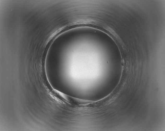 X0000078230834200611101007