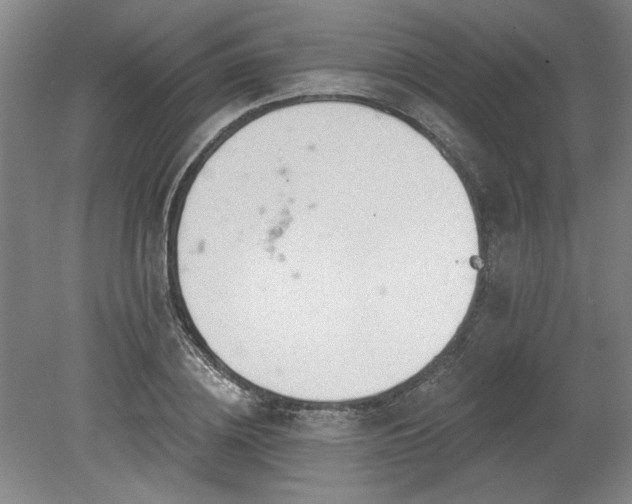 X0000078230836200611101007