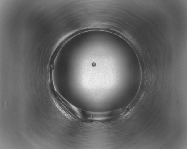 X0000078230838200611101007