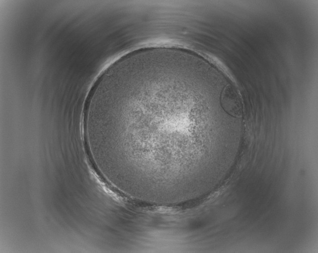 X0000078230839200611101007